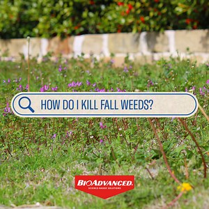 Season Long Weed Control For Lawns kills listed fall weeds now, and prevents new weeds up to 6 months. That’s next March! https://bioadvanced.com/season-long-weed-control-for-lawns.html?typesimpleȨ=1481 | BioAdvanced Science-Based Solutions | Facebook