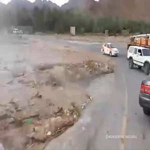 The flood is so dangerous | Natural Wild