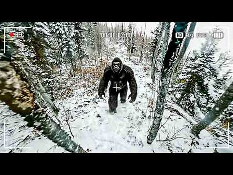 Bigfoot Has DESTROYED Portlock Alaska AGAIN, Footage Goes Viral Overnight! WATCH NOW