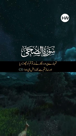 Surah Ad Duha Urdu Translation | Al Quran Chapter 93 | Beautiful Recitation | Islamic Videos