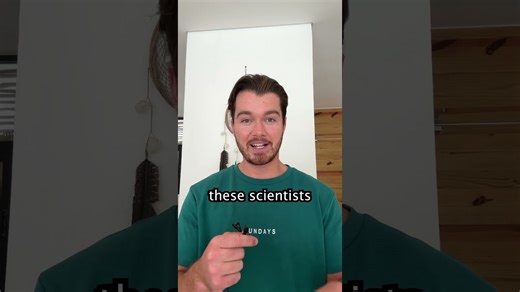 Human brain cells learn to play pong without a human attached