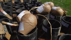 Close-up of ground mortars and packaged fireworks being set up for a show