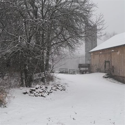 16 reactions | Long Lane Farm Flowers on Reels | Facebook