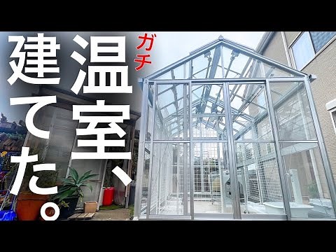 [Serious] Start gardening in a glass-enclosed aluminum greenhouse.