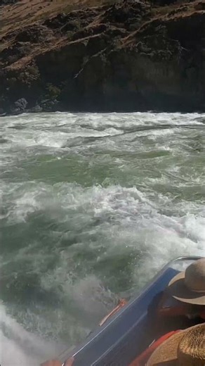 Seal launch off a jet boat -Wild-sheep 28k