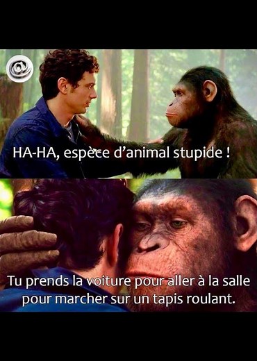 Get ready to laugh with our hilarious compilation of cat, animal, and other memes! 🐾