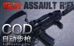 每日兵器:国产外贸CQD自动步枪