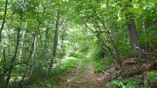 Pennsylvania is getting 3 new state parks, including one in York County