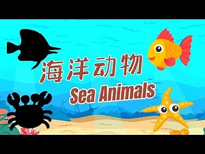 【8种海洋动物】| 8 Sea Animal’s names in Chinese | #学中文 | 中文加油站2022