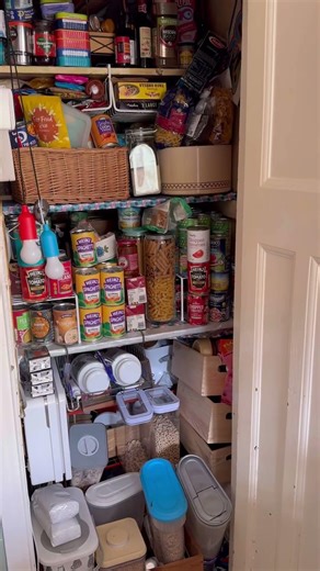 pantry reset time again!restoring order to a very disorderly mess of a space!did my best #reset #fyp