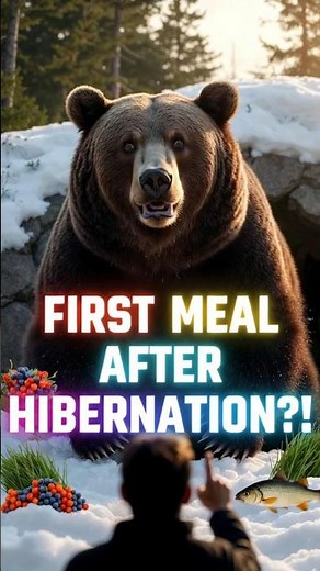 What Bears Actually Eat After Hibernation