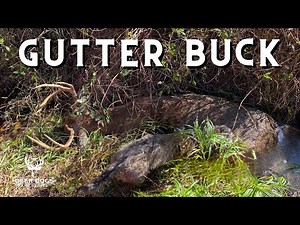 From Despair to Success: Deer Tracking Dog Tracks Buck for the Win!