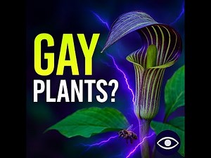 🌿🌈 “GAY PLANTS! The Secret Sex Lives of Nature’s Weirdest Species” | UNREALIA