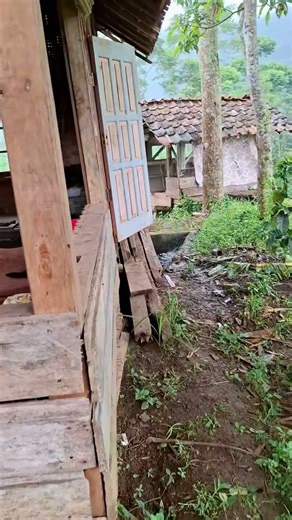Cozy Rainy Day in a Traditional Stilt House 🌧️🏡 #Shorts