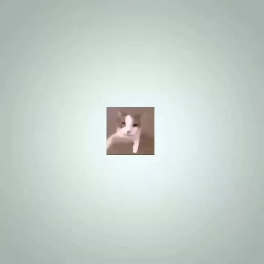 Heartwarming Cat and Dog Hug Edit