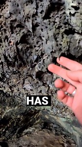 20K views · 990 reactions | "Really cool..." Some more random bits for you. Sometimes there's just too much information in my videos, and not enough just saying things are "really cool". | Sids.ventures | Facebook