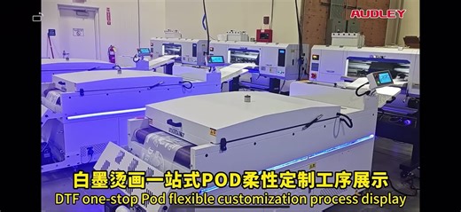 AUDLEY dtf printer full system