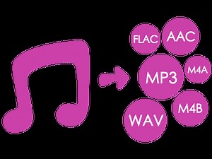 Convert Audio To The FLAC Format