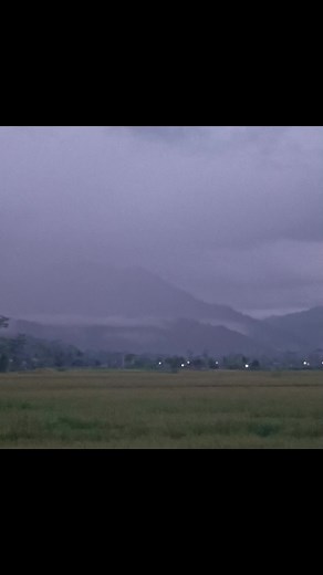 Exploring 'Fake Plastic Tree' by Radiohead