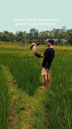 tutor latihan speed dong?#changeablehawkeagle #elangbrontokputih #chelm #training #wildanimals #falconry #indonesiafalconry #elang #eagles #falcon #hunting #fyp #capcut