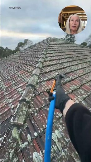 Stop Pressure Washing Moss, Do This Instead #moss #cleaning #hacks