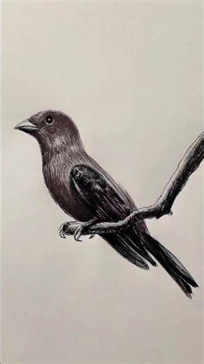 Bird Drawing Shorts | Easy Bird Sketch Tutorial | How to Draw a Bird Step by Step | Viral Art #bird