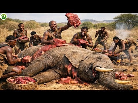 That Prey Is Too Big! This Meat Could Feed The Tribe For A Whole Month
