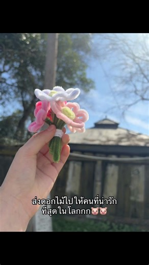 #ฟีดดดดดดดดดดดดดดดดดดดดดดดดดดด #หนุรักแม่ค่ะ#flower💐#พิกัดลับเชียงใหม่ #@TikTok @nkauj mhoob lao