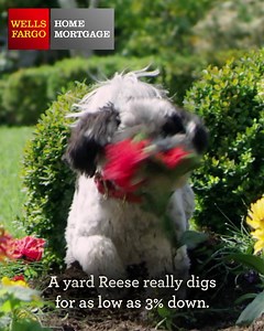 131 reactions · 13 shares | Enjoy a simpler path to home ownership with home mortgage consultants always happy to help. | Wells Fargo | Facebook