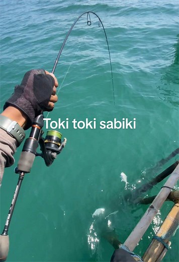Mancing Ikan Hama Penunggu Bagan dengan Sabiki Toki Toki