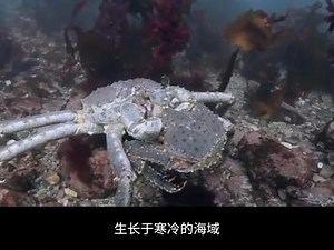 碾压小米AX9000？华硕AX89X 双万兆路由器评测