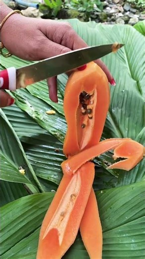 Papaya California #pepaya