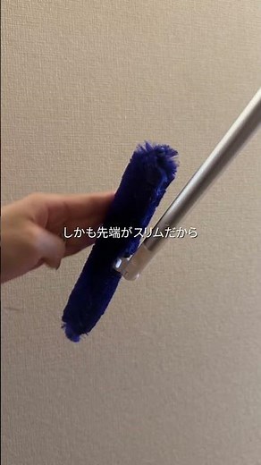 ■トレループ階段用埃取り※モップは水洗いはできないからそこだけ注意ね！