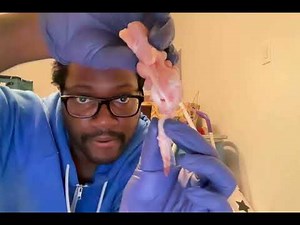 Chicken Wing Dissection