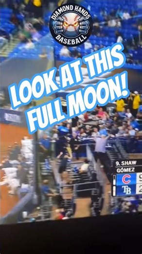 Hilarious moment when a fans pants fall down as he goes after a foul ball! #mlb #highlights #shorts