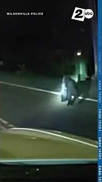 DASHCAM: Police use lights, sirens to lead black bear out of Wilsonville, Oregon