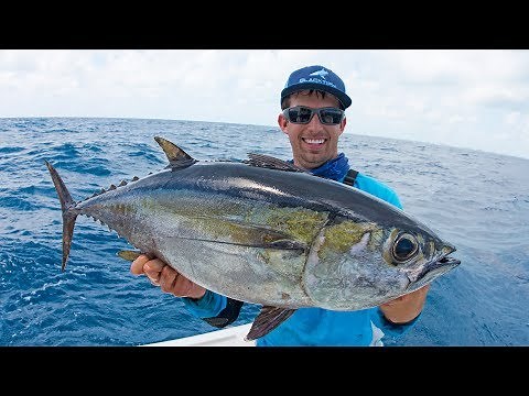 Fishing for Dinner Fish in Miami - 4K