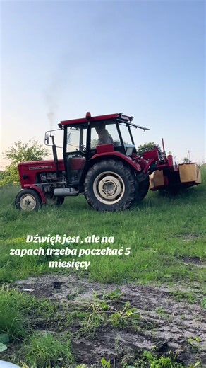 Zapach lata: Oczekiwania na Dźwięk i Aromat