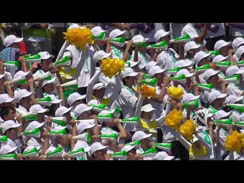 第101回夏の高校野球選手権大会 飯山高校（長野）、甲子園初得点に沸くアルプススタンド大応援団