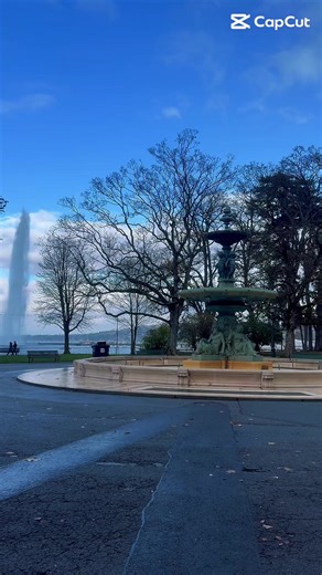 Winter Serenity in Geneva: Nature's Beauty and Comfort