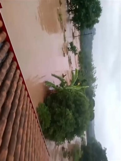 #SantaCruz Una intensa lluvia caída en las últimas horas provocó el desborde del río y de varias quebradas en el municipio de El Torno, específicamente en el Distrito 6, dejando a familias atrapadas en sus viviendas y generando una situación de emergencia que mantiene en vilo a la población. | Juan Carlos - JC Noticias Riberalta