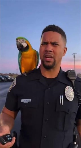 “Squawk & Laugh: The Funniest Parrot You’ll Ever See! 🦜😂”