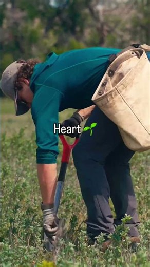 Help me save some ecosystems🌱