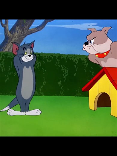 #cartoon #tomandjerry #animation | Tom And Jerry