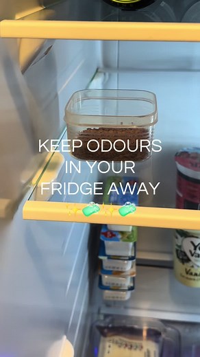 Effective Tips to Eliminate Fridge Odours