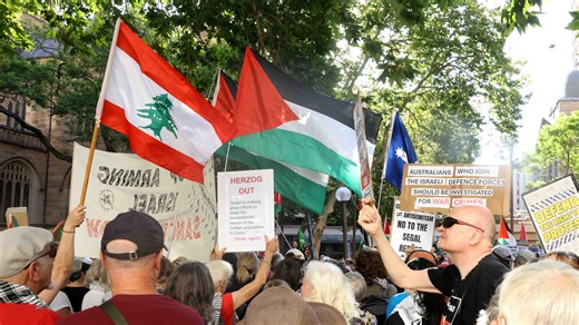 Hundreds of police officers were deployed to Sydney Town Hall on Friday evening as pro-Palestine demonstrators gathered, testing NSW’s newly introduced anti-protest laws. | Sky News Australia