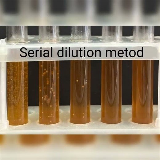 Serial Dilution Method #bacteria #methods #microbiology