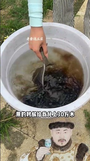 The first fertilization during the cucumber seedling stage is very important. #PlantingTips #AI