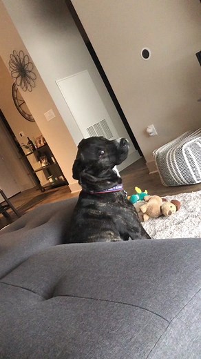 Hump day dancing @lizzo 💃🏻