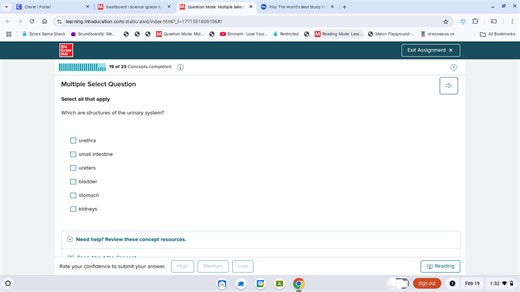 Which are structures of the urinary system?  urethra small inte... | Filo